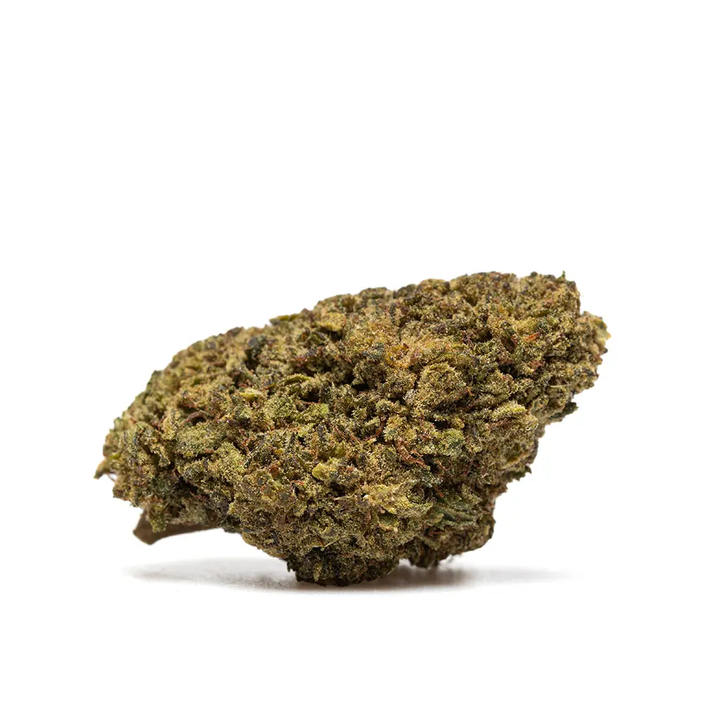 37a734c8326f3956eb62f65dabd15405