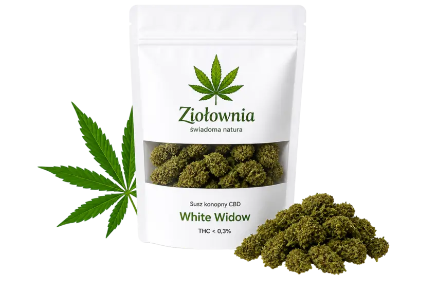 Zioła i CBD